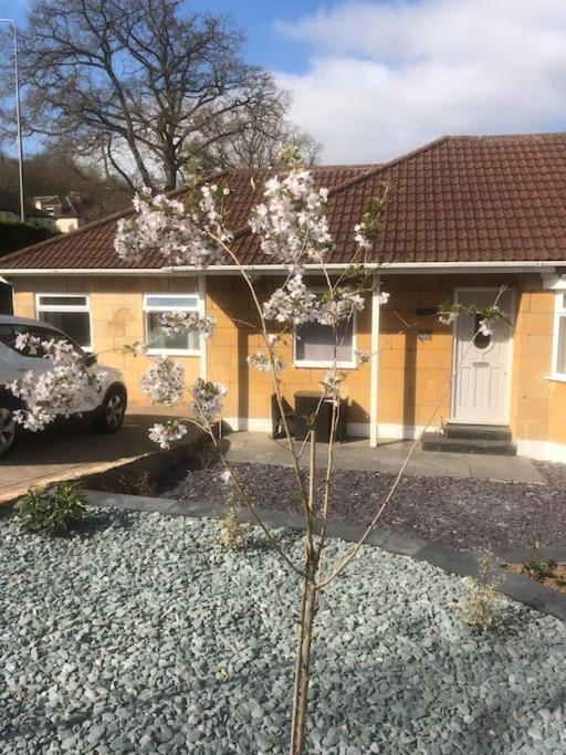 Quiet And Cosy Flat, Close To Bath Centre 外观 照片